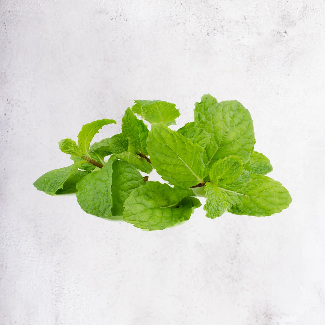 Mint - Ethiopia - 20g