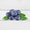 Image to render