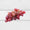 Image to render
