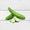 Image to render