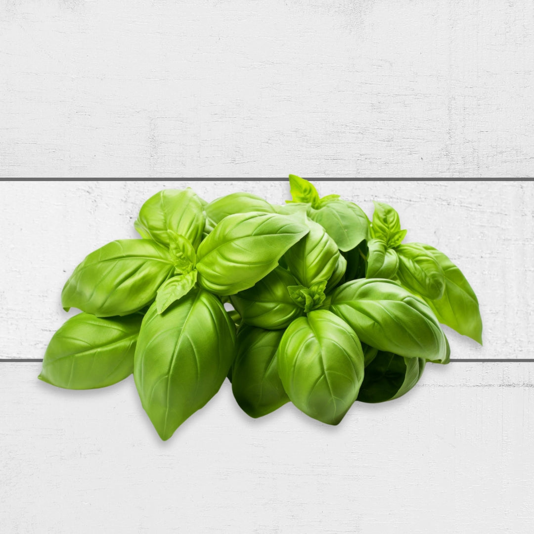 Farm Fresh Basil from The Meat Club