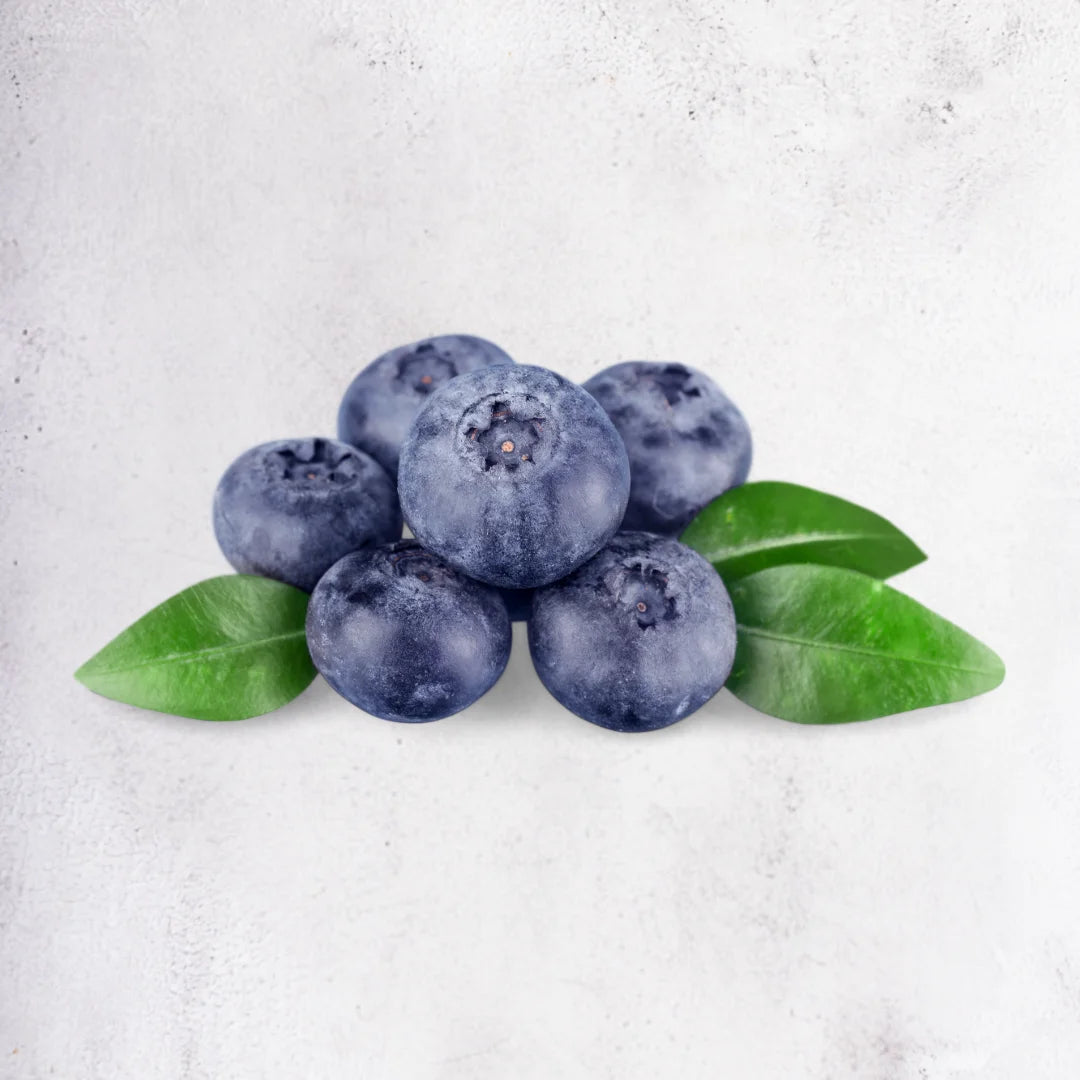 blueberry singapore