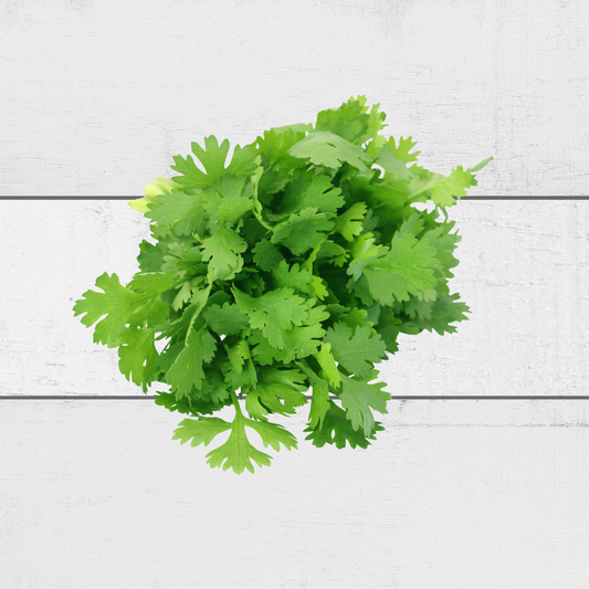 fresh coriander singapore