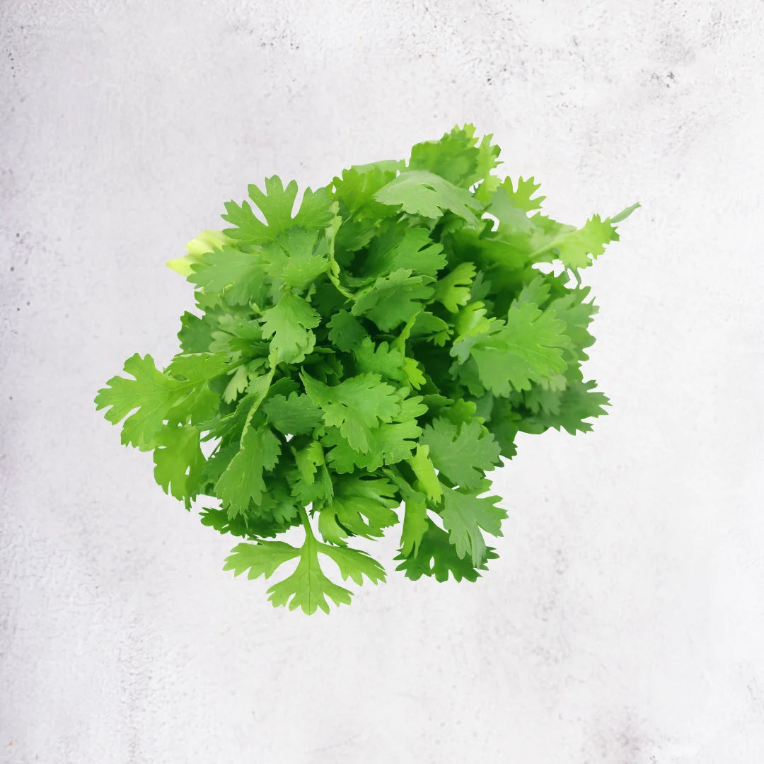 Coriander - Ethiopia - 20g