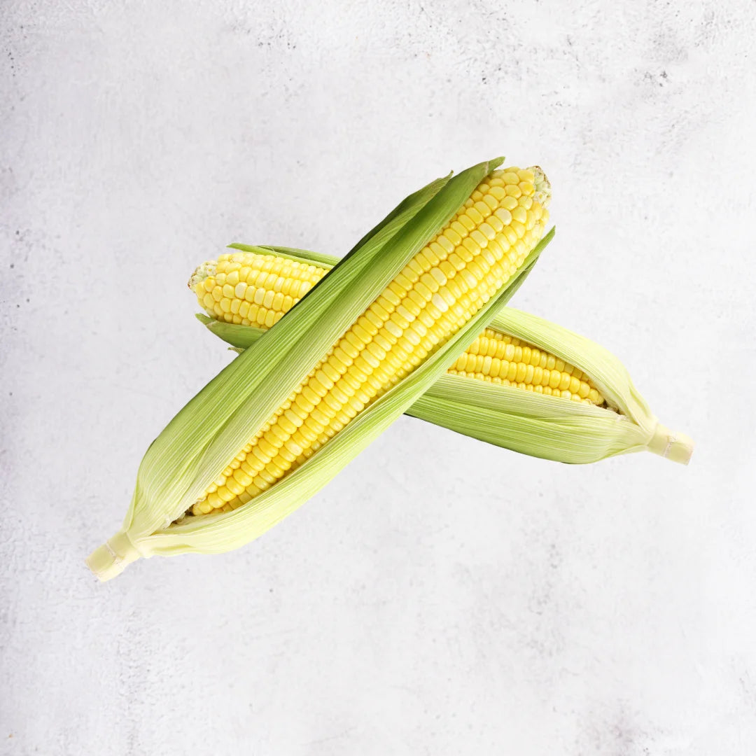 Corn on cob - Malaysia | 2 pieces