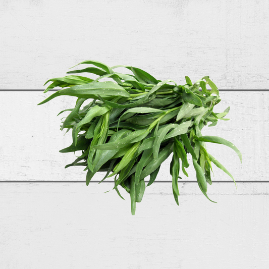 fresh tarragon herb singapore