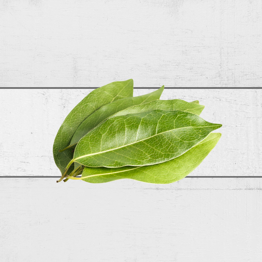 Buy Bay Leaf Singapore