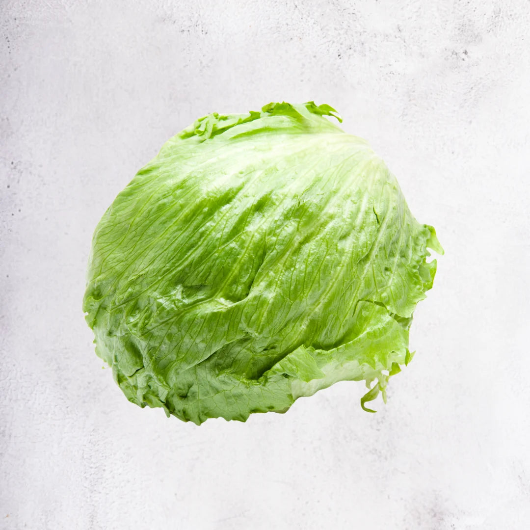 Iceberg Lettuce - Malaysia | 1 pack