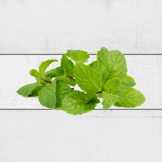 fresh mint leaves singapore