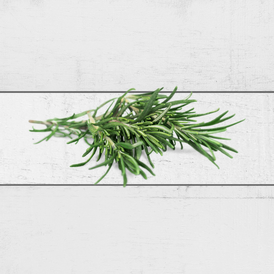 fresh rosemary singapore