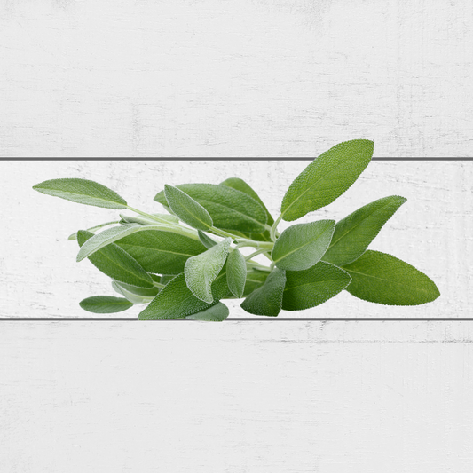 fresh sage leaves singapore