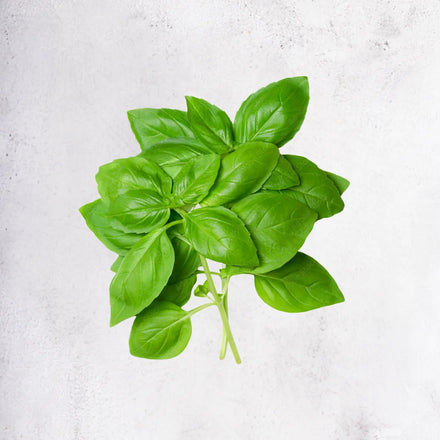 Fresh basil 20g, The Meat Club Singapore